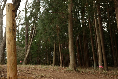 真田道を歩く・上州編(3)岩櫃城址を歩く_c0013687_17505819.jpg