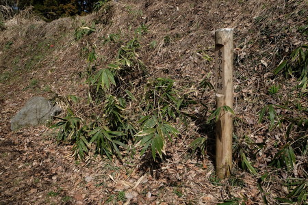 c0013687_17524944.jpg