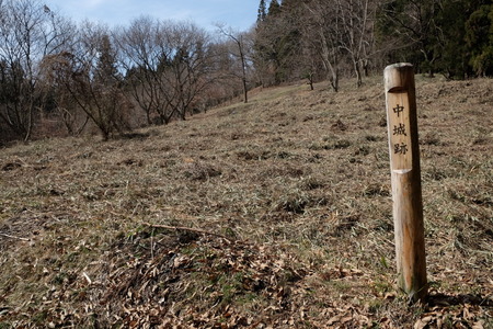 真田道を歩く・上州編(3)岩櫃城址を歩く_c0013687_1752719.jpg