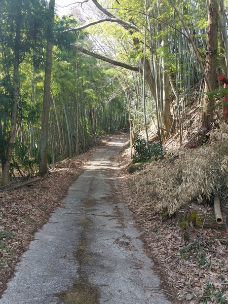 真田道を歩く・上州編(3)岩櫃城址を歩く_c0013687_17533623.jpg