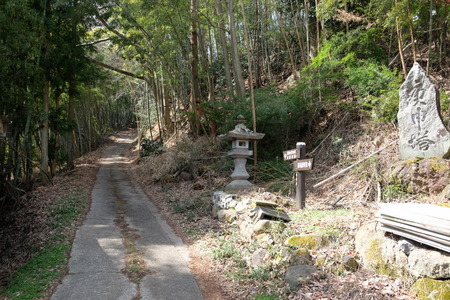 c0013687_1753452.jpg