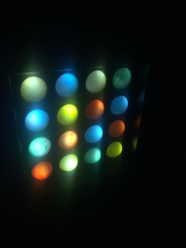 a0129492_07500226.jpeg