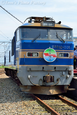 15-EF510 ピンバッチ 15-EF510 ピンバッチ