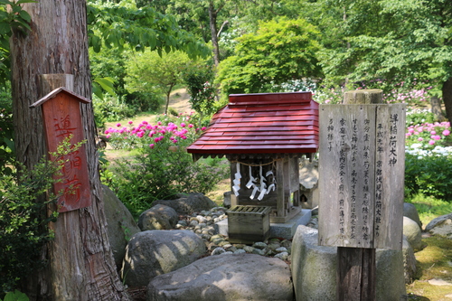 南陽市　諏訪神社　しゃくやく祭り・・・３_c0075701_1814755.jpg