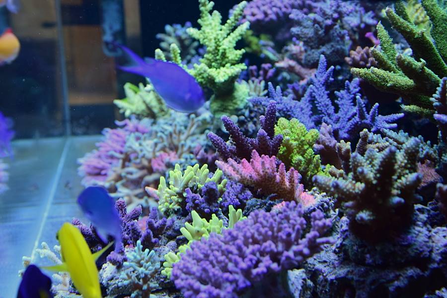 c0165807_18241723.jpg