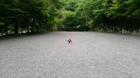 c0326807_20505653.jpg