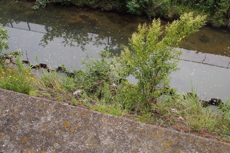 d0071507_673172.jpg
