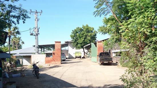 East Bali Cashews Factory へ ＠ Ban, Kubu, Karangasem (\'16年5月編)_f0319208_20592621.jpg