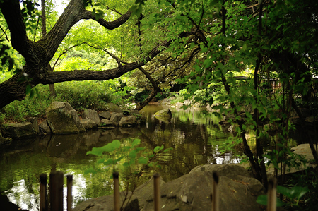 a0017909_1611746.jpg