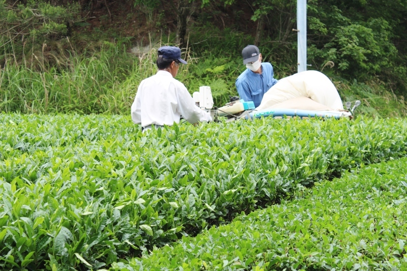 下山和合、うれしいがモリモリ_b0220318_11200950.jpg