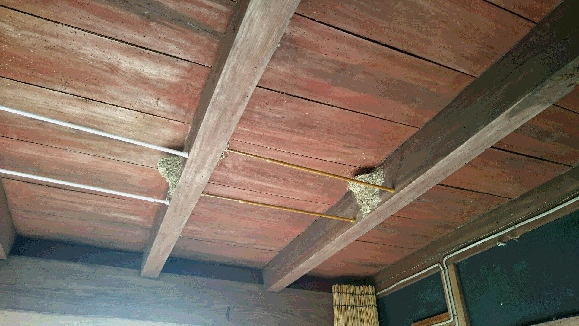 f0260120_21411241.jpg