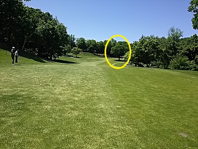 f0227321_19251293.jpg