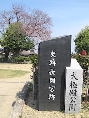 ぶらり京都-105 [向日神社・春の参道]_d0352628_1119037.jpg