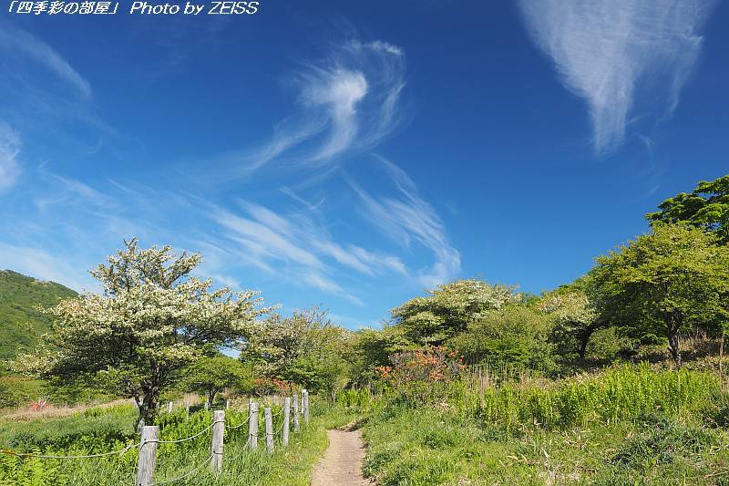 赤城山・覚満淵をぐるり一周_a0195032_21152494.jpg