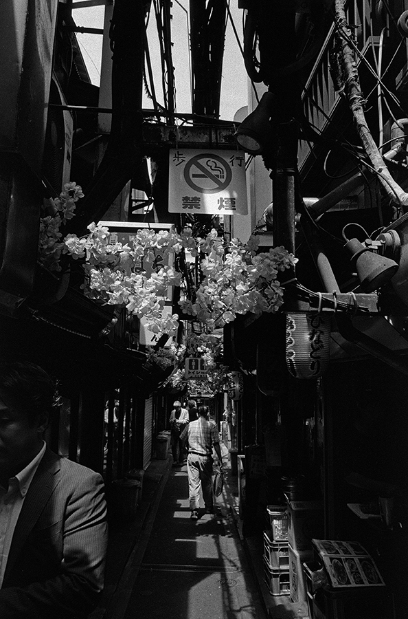 【21st Century Snapshot Man】2016 5/7 新宿ー武蔵関ー荻窪ー新宿 都の西北のさらに西北を歩く_c0035245_11463712.jpg