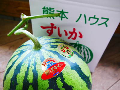 熊本スイカは今が旬!選べるラインナップで大好評発売中!!_a0254656_19175749.jpg