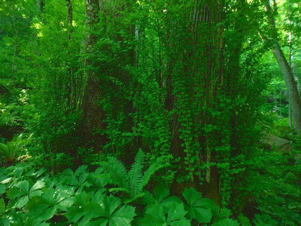 c0294658_04083407.jpg