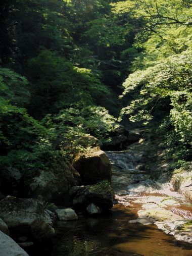 c0294658_04085347.jpg