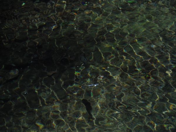 c0294658_04091024.jpg