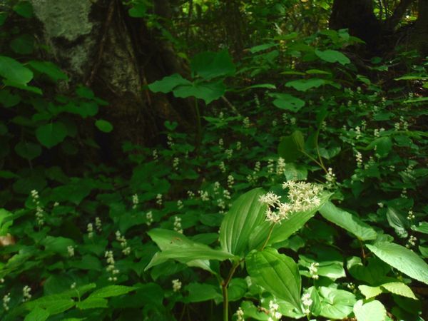 c0294658_05242283.jpg