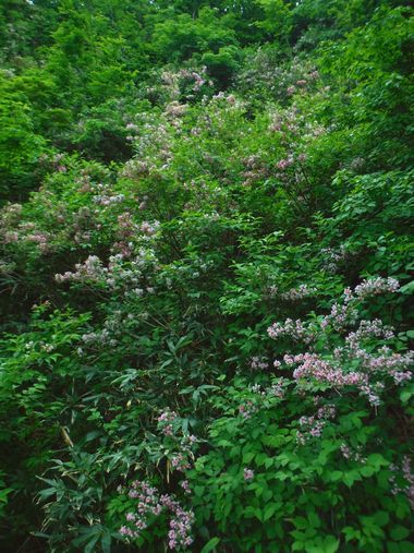 c0294658_05251429.jpg