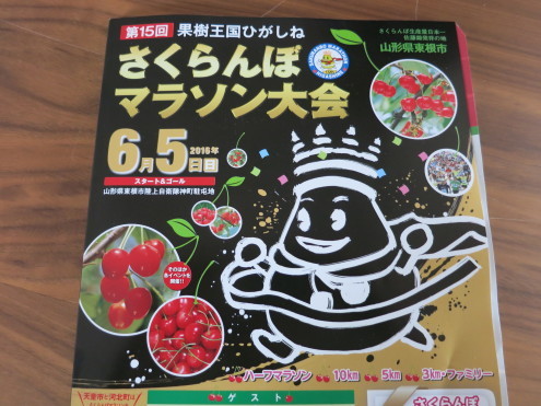 今年も走りました!_c0260460_17265396.jpg