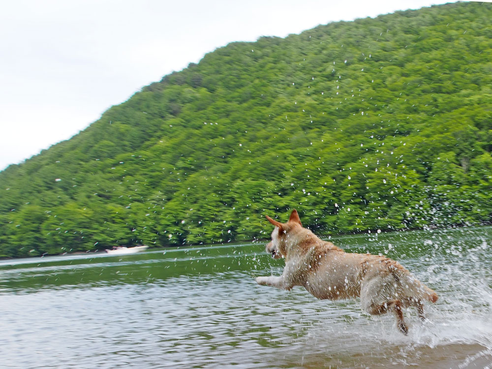 贅沢な寄り道💦_d0085960_23304378.jpg