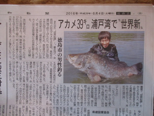 浦戸湾の怪物、記録更新！_e0142063_15524734.jpg