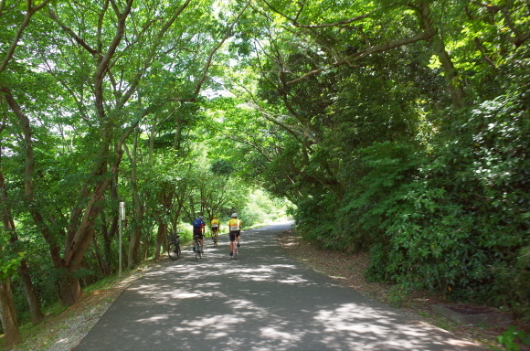 a0232368_17382984.jpeg