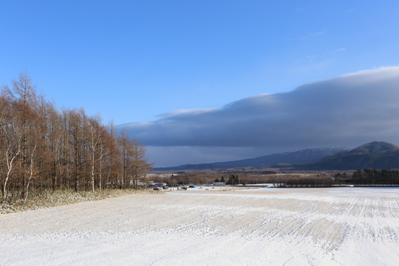 b0086273_2057484.jpg