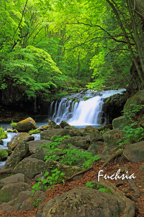 f0127273_22270031.jpg