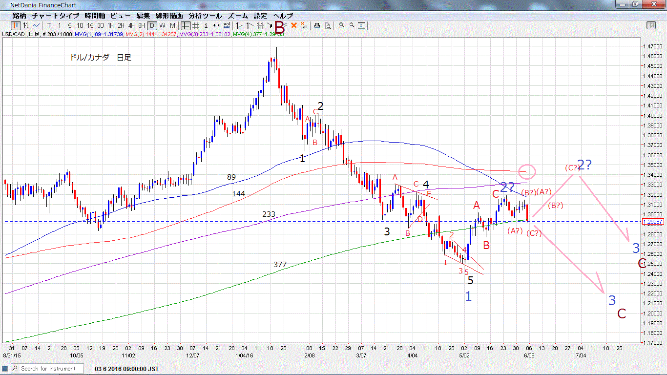 ドル/カナダ　日足ウェブカウント_d0177680_9283935.gif