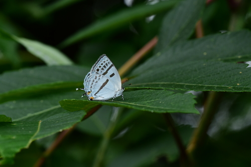 f0348480_14521041.jpg