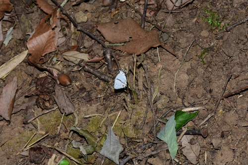f0348480_14565041.jpg