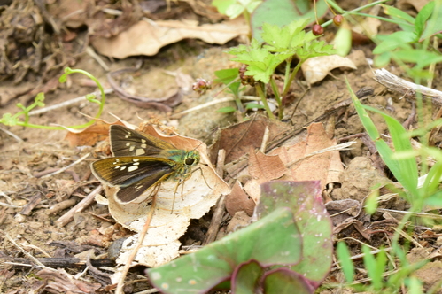 f0348480_15163713.jpg