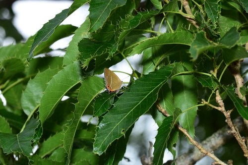 f0348480_1541526.jpg