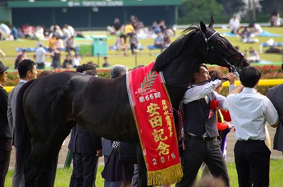 安田記念は、ロゴタイプが絶対王者モーリスを破り３年２ヶ月ぶりのGI制覇！_b0015386_2325021.jpg