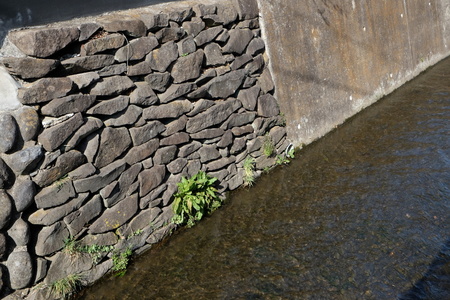c0013687_2101645.jpg