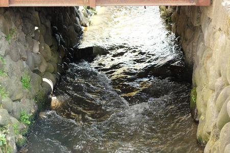 c0013687_2102186.jpg