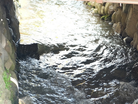 c0013687_2102210.jpg