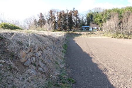 c0013687_211458.jpg