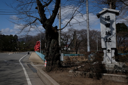 c0013687_265958.jpg