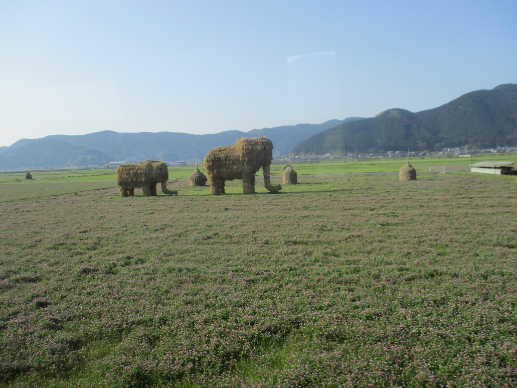 マンモスだぁ どっきん四国愛らんど 南予に集うjr四国気動車の今 マンモスだぁ どっきん四国愛らんど 南予に集うjr四国気動車の今