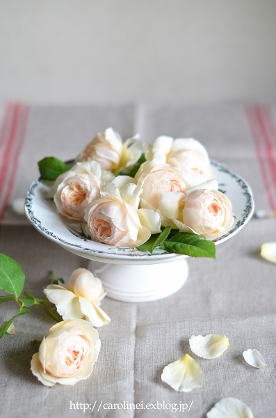 庭の名残りの薔薇、そしてモイストポプリ作り　My Garden Roses & Moist Pot-pourri Making_d0025294_16264624.jpg