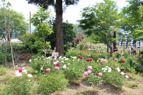 c0075701_9154363.jpg