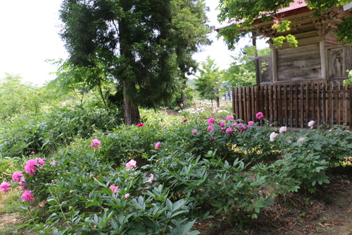 c0075701_9161749.jpg