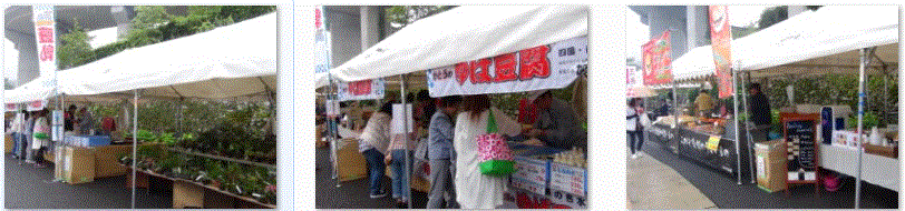 f0231709_1429660.gif