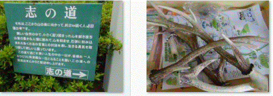 f0231709_1552989.gif