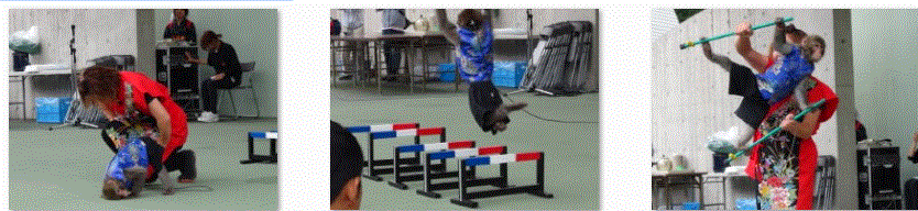 f0231709_1559090.gif