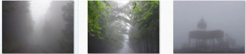 f0231709_16182985.gif